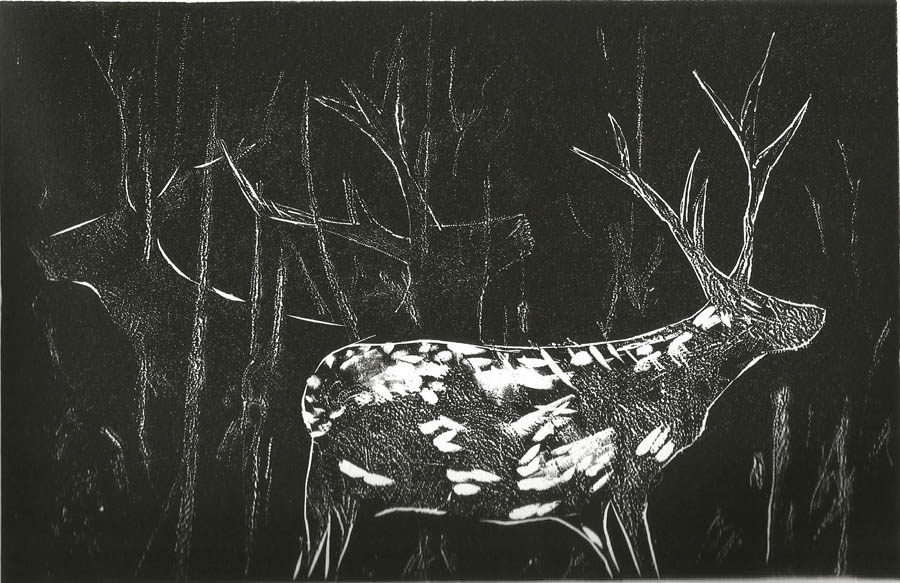 angel_cajal_linografia_el_bosque